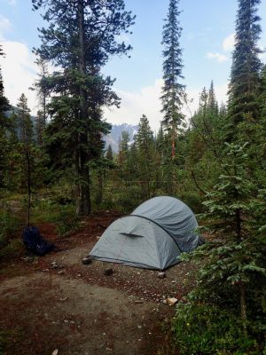 Fryatt Lake Trail - Jasper N.P.